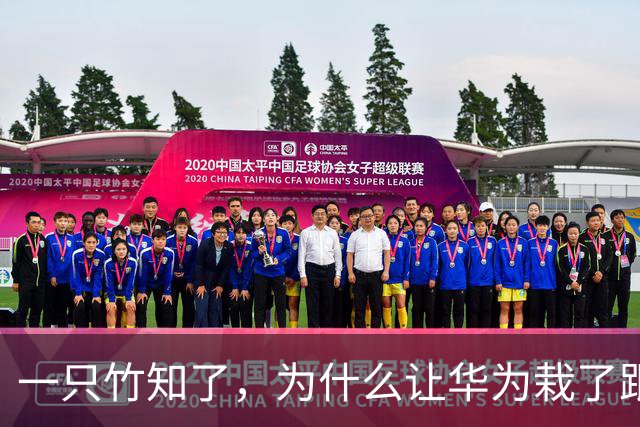一只竹知了，为什么让华为栽了跟头？