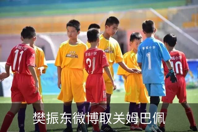 樊振东微博取关姆巴佩